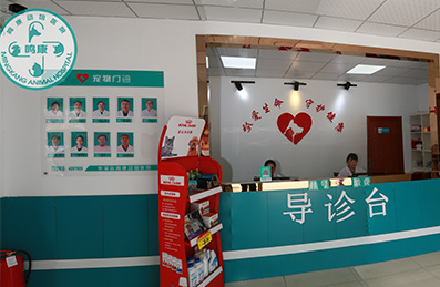 37000威尼斯